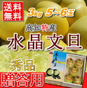 【送料無料】高知産温室水晶文旦贈答用・ぶんたん3kg「5玉〜7玉」北海道・沖縄は送料500円【RCP】10P13Nov14 - ベジタブル&フルーツPure
