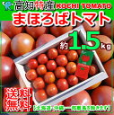 高知産まほろばフルーツトマト約1.5kg化粧箱北海道1000円・沖縄送料1500円トマトサミット