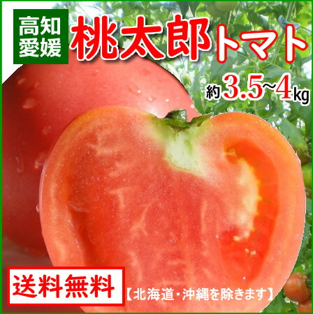 全国お取り寄せグルメ愛媛野菜・きのこNo.2