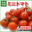 【送料無料】高知産・四国産ミニトマト プチトマト約2kg10P01Mar15高知トマトサミット05P03Sep16