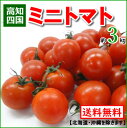 【送料無料】国産ミニトマト プチトマト約3kg10P01Ma