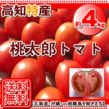 【送料無料】高知・愛媛産・トマト桃太郎とまと3.5kから4kgトマトサミット北海道1000・沖縄送料1500円感謝祭