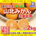 送料無料・高知産ご家庭用山北ハウスミカンサイズお任せ約2kg