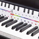 鍵盤カード 4オクターブ 29鍵盤 ピアノ/ト音 ヘ音 音楽 初心者 独学 レッスン 教材 習い事 先生 音楽教室(2)