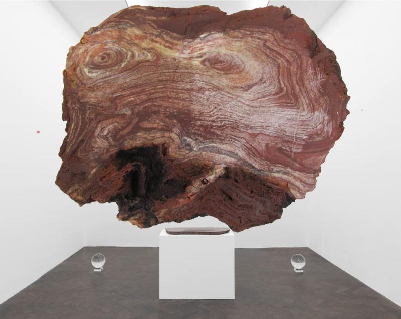 SCIENCE 世界最古の化石Stromatolite (Collenia) 「ストロマトライト（Stromatolite）約100×70×H20mm コレニア・シリンドリカ Collenia cylindrica 産地：中国 安徽省」オリジナル標本ケー