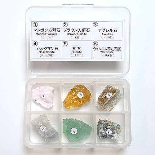 SCIENCE 蛍光鉱物標本6種 長波 （L.W.／Longwave, Long Wave）ちょうは 蛍光する鉱物 6種セット（別紙説明書付き） ／プラスチックケース入り