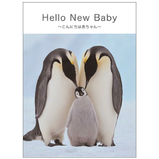 NBメッセージブック NBメッセージブック