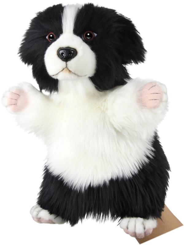 ハンサ(HANSA) BH8349 HANSA ボーダーコリー ハンドパペット商品タイプ：リアルな動物のハンドパペット動物：ボーダーコリー【HANSAとは】1972年にオーストラリアで創業して以来、地球上に生息する動物を中心に様々な生物を研究し、細部までリアルに再現したぬいぐるみを製造しております。すべてのHANSA製品は要求される品質基準に適合するため下請工場を一切使用せず、フィリピンの12,000平米に及ぶ自社工場で製造されています。博物館・環境保護団体・教育機関と連携し、世界の動物や環境保護の大切さを伝えています。【HANSAってどんなぬいぐるみ？】身近なペット、動物園で飼育されているような誰でも知っている動物、地域の固有種や太古に生息していた恐竜や絶滅種、ファンタジーの世界の生物など、手のひらサイズの小動物から、4m80cmのキリンといった等身大サイズのぬいぐるみ、地球上に生息する動物を再現する高い技術力によって製造されています。国際検査機関と契約しており、個々の製品ごとの検査証を発行しています。【何故リアルなぬいぐるみなのか？】HANSAがリアルなぬいぐるみを作り続ける理由は世界中に分布している動物たちがどのような姿・生態なのかはもちろん、わたしたち人間が森林伐採や環境汚染で及ぼす影響が動物たちの棲家を奪ってしまっているという事実を次世代の子供たちに知ってもらいたいという環境保全の理念からきています。
