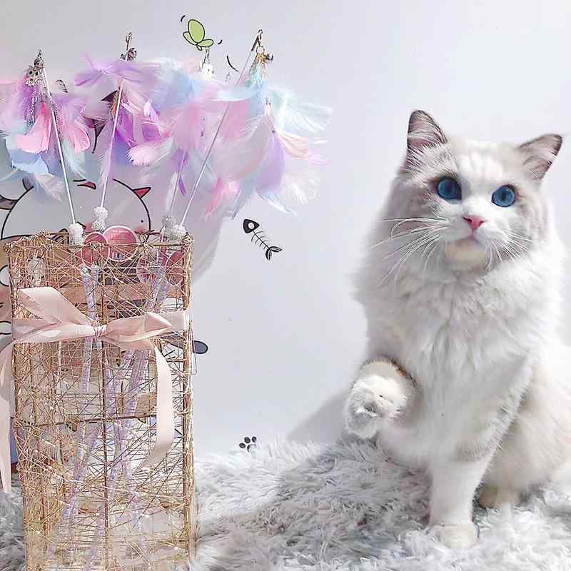 ・カテゴリ: ペットおもちゃ・タイプ: 猫じゃらし・素材: プラスチック、羽毛・重量: 約10g