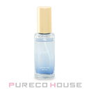 soeff (ソフ) ブライティングミスト J (ヘアミスト) 55ml【訳あり品(箱ダメージ品)】【メール便は使えません】(4)