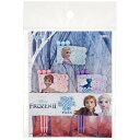 ランチピックス LKP4 9本入 アナと雪の女王 Disney ディズニー スケーター お弁当グッズ 遠足 アウトドア キャンプ ピクニック(3)