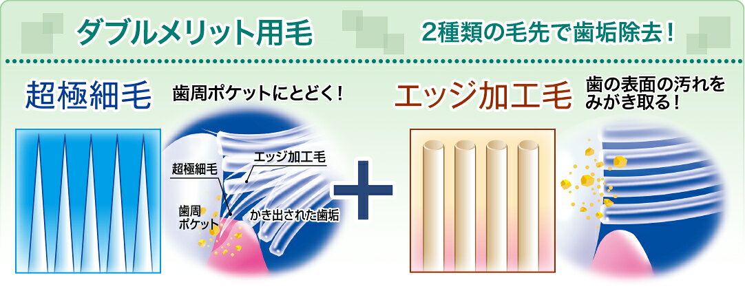 �ǥ󥿥�ץ� ���֥� �ޥ������ 3�� �դĤ� ���餫�� ���֥饷 6��