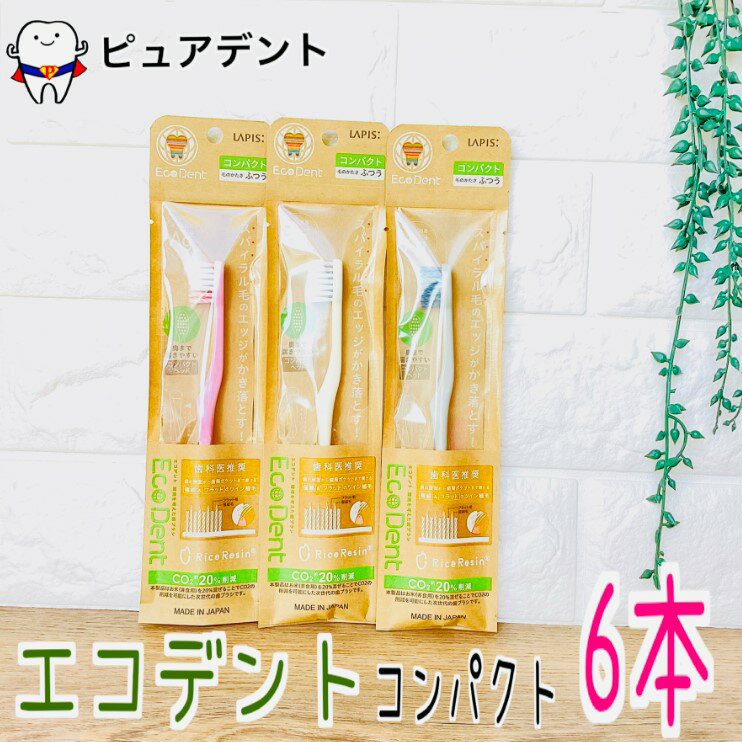 Rakuten - EcoDent エコデント コンパクト 6本 歯ブラシ M ふつう フラット毛＋先細毛 スパイラル ラピス
