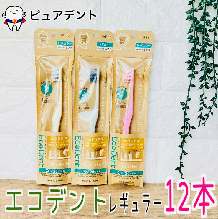 Rakuten - EcoDent エコデント レギュラー 12本 歯ブラシ M ふつう フラット毛＋先細毛 スパイラル ラピス