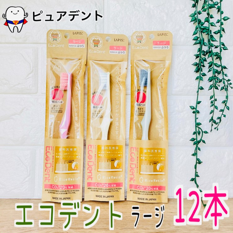Rakuten - EcoDent エコデント ラージ 12本 歯ブラシ M ふつう フラット毛＋先細毛 スパイラル ラピス