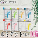 ルミデント 歯間ブラシ 5本入 × 10個 クルツァー【メール便送料無料☆】(4)