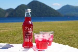 【北海道】【しそジュース】とうやの赤しそサイダー 230ml×24本入り