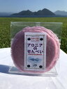 アロニアせんべい【目に】【北海道伊達市大滝産】(4)