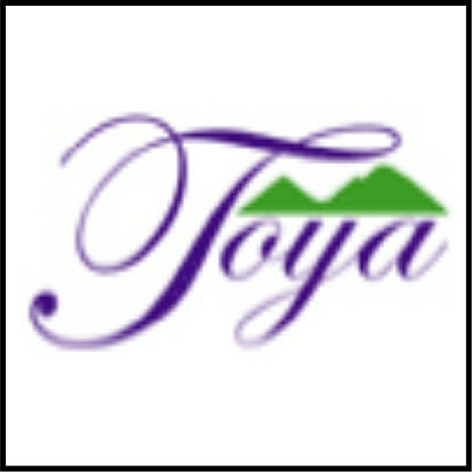 Shop icon