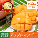 【7月上旬～順次出荷】【数量限定】宮古島産 良品 マンゴー 2kg(4～6個)｜マンゴー アップルマ ...