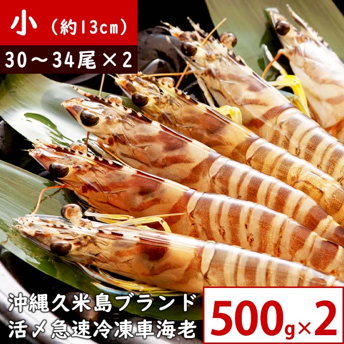 【小サイズ 500g×2】沖縄久米島産 活〆急速冷凍 車海老 30~34尾 約13cm【海洋深層水育ち】【生食可】