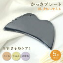 【3点50%!1点40%OFFクーポン】 羽根型 カッサプレート かっさ 頭皮 テラヘルツ プレート マッサージ リフトかっさ 美容 羽根 小顔 頭 かっさテラ...