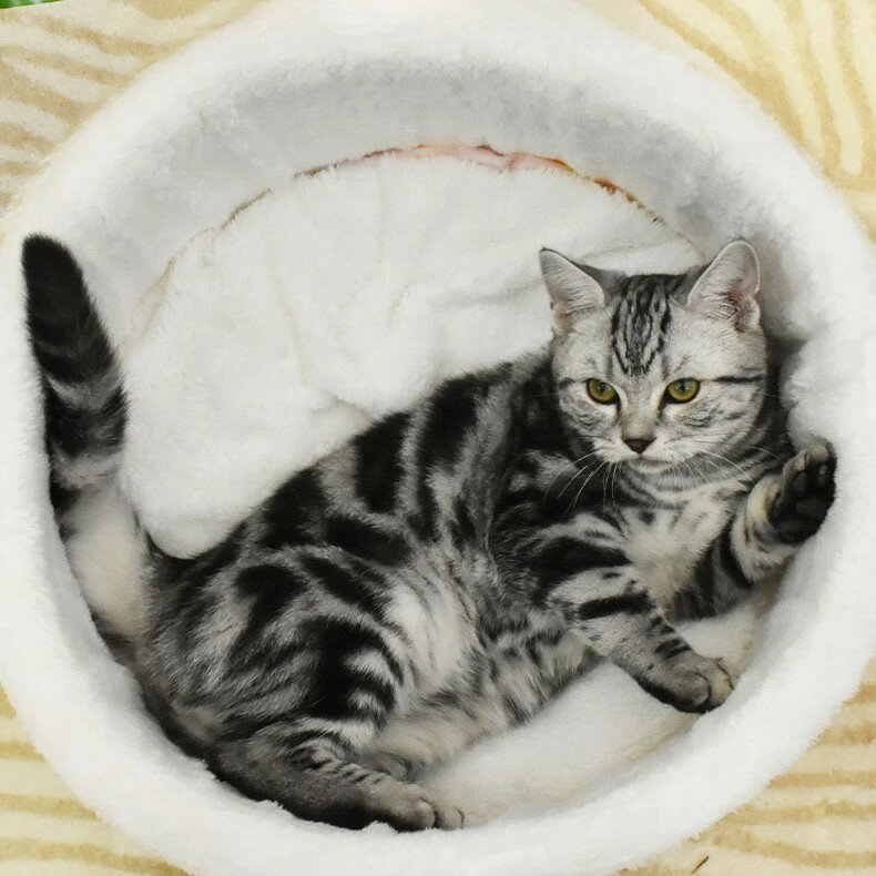 ペットハウス 猫ハウス ふわふわ 猫用ベッド 冬用 洗える マット クッション ペットソファ 寒さ対策 キャットハウス 犬 猫 カップ麺 拉麺 小型犬 中型犬 ペットベッド 寝床 犬猫共通 保温防寒 柔らかい M L XL