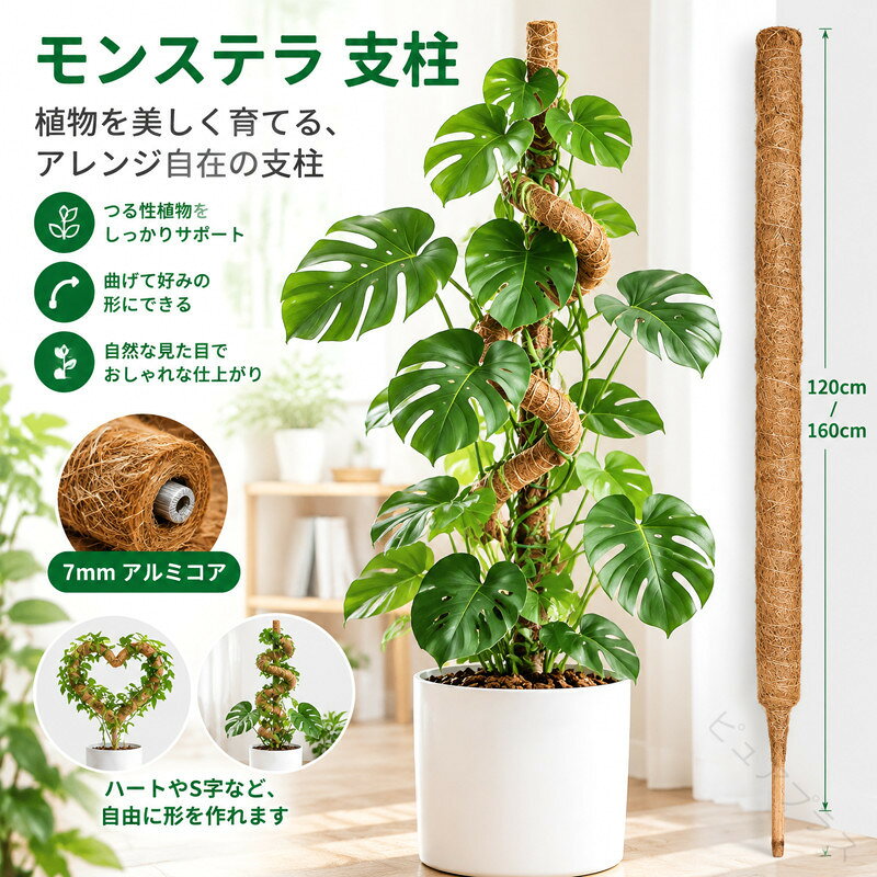 モンステラ 支柱 1 パック 120/160 センチ ヘゴ支柱任意の形状に曲げることができます 7m ...
