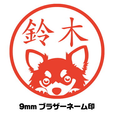 はんこ かわいい 犬 チワワ いぬ イラスト入り シャチハタ