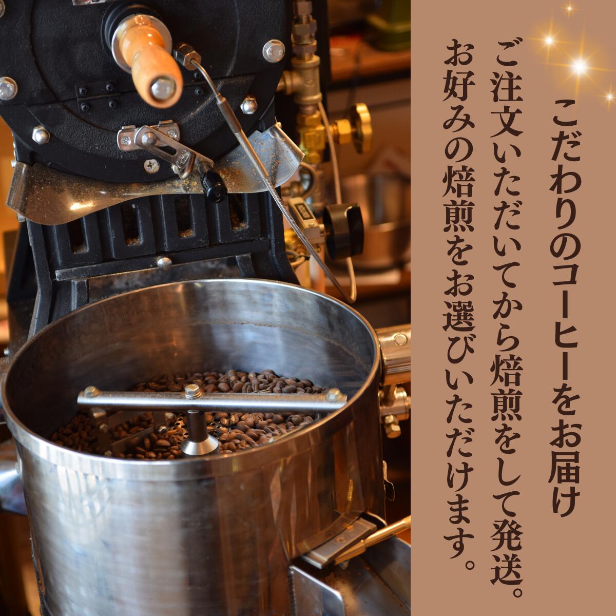 明日 ポイント必ず10倍以上 【選べる焙煎 挽き方】焙煎コーヒー パプアニューギニ...