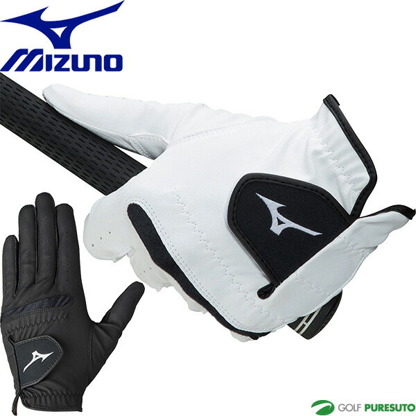 y12P5{z~Ym St StO[u RV A[uC Ўpi葕pjY 5MJML353  E 2023NH~f Mizuno Golf