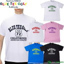 ブルーティーゴルフ 半袖 モックネックシャツ Road Sign メンズ BTG-AMT002 BLUE TEE GOLF BTGAMT002 AMT-002 2025年春夏モデル 春夏ウェア アパレル