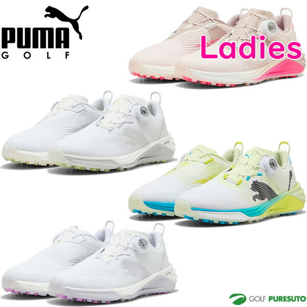 �ڥ�ǥ������ۥס��� ����� ����ե��塼�� ������� ����ɥ�����å� �˥ȥ� 2.0 �ǥ����� ���ѥ����쥹���塼�� 313014 2026ǯ�ղƥ�ǥ� ...