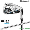 テーラーメイド SIM MAX アイアン 5本セット（#6-PW）KBS MAX85 スチールシャフト[日本仕様][Taylormade][シム マックス SHAPE IN MOTION]