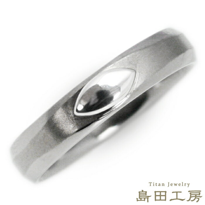 チタン 指輪 リング セミオーダー チタンリング 金属アレルギー対応 純チタン PT900 ノンメッキ ノンコーティング ニッケルフリー 日本製 刻印無料 メンズ レディース プラチナ オーバル ミラー＆マット仕上げ シンプル 着け心地重視 大きいサイズ可 記念日 R097