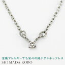 チタンネックレス チタンネックレス 天然ダイヤモンド0.05ct 一粒石 ペンダント 純チタン アレルギー対応 チタンペンダント つけっぱなし 温泉OK シンプル おしゃれ 普段使い カジュアル チェーン レディース プレゼント ギフト 自分ご褒美 誕生日 記念日