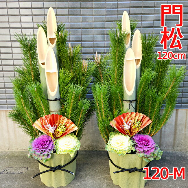 【12/25～31の間にお届けです】迎春用門松 120-M 120cm お飾り お正月 門松 一対(2個セット) 生花 玄関 販売 正月飾り 大型 玄関 オフィス 会社 店 マンション