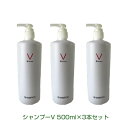 楽天GON美容室ディバイン・ナノ シャンプーV　500ml×3本セットl抜け毛が減ります！【ヘアケア ノンシリコンシャンプー オーガニック 抜け毛 育毛】