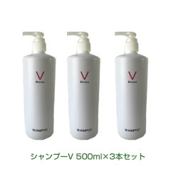 https://thumbnail.image.rakuten.co.jp/@0_mall/purigurio/cabinet/hair/divine/de-sh-500-set.jpg