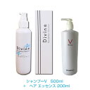 ディバイン・ナノ シャンプーV　500ml　＋　ヘア エッセンス 200ml　セット