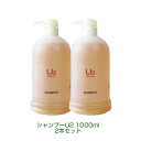 ディバイン ダメージ毛用 シャンプー U2（ユーツー） 1000ml×2本セット流した後のきしみを解消！