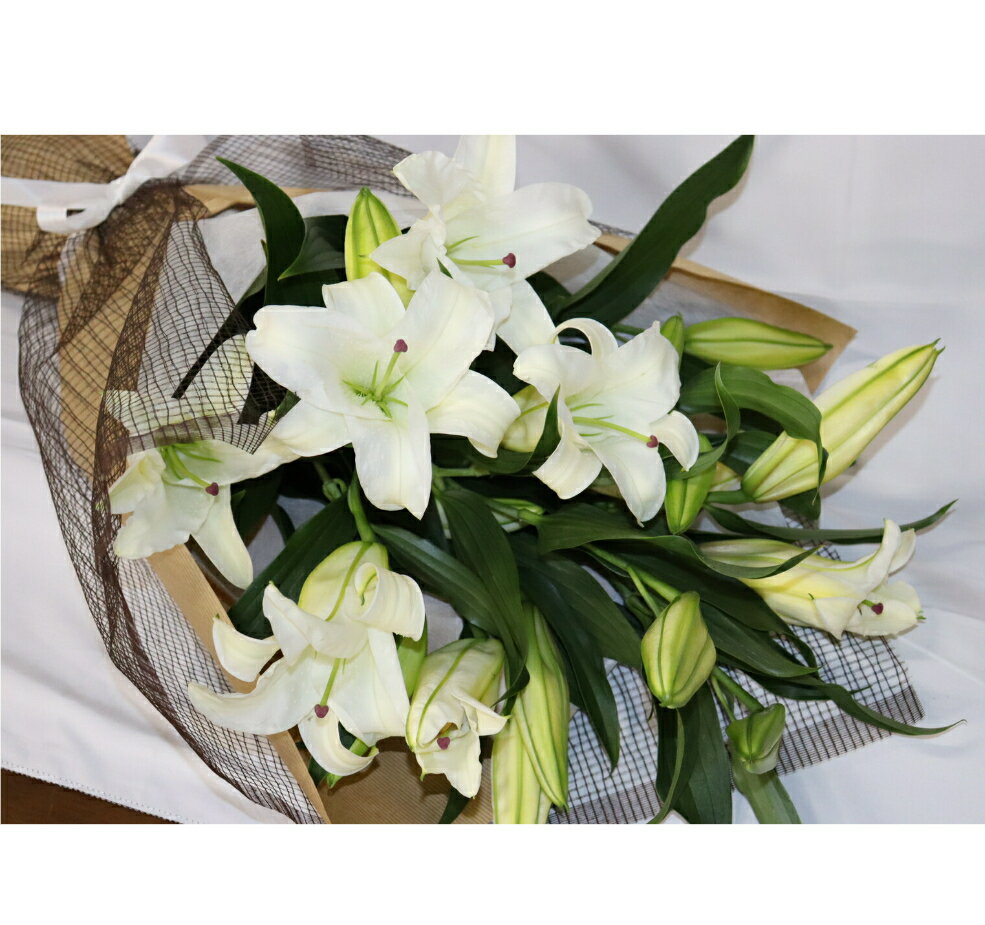 PURIZA 【 生花 花束 】ゆり ユリ の カサブランカ の 花束 20輪 百合 の 女王 祝福 市場直送 鮮度抜群 国産