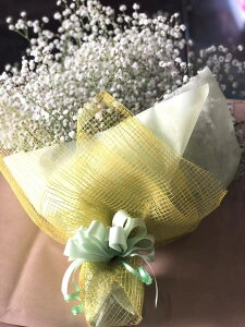 【あす楽】PURIZA　かすみ草・カスミソウ・花束　ボリュームいっぱい　プレゼント　ギフト　写真　誕生日　送料無料
