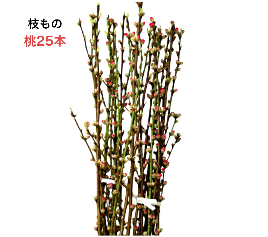【生花枝もの】桃の花 矢口 約1m 束売り 計25本 「気立ての良さ」「天下無敵」