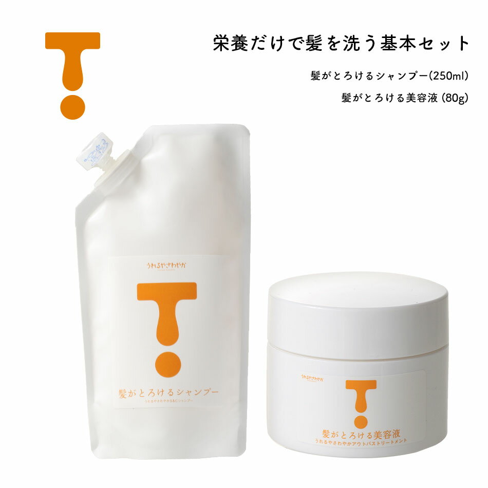 楽天市場 Kt 00st 基本セット 髪がとろけるシャンプー 美容液 髪がとろけるシャンプー 250ml 髪がとろける美容液 80g プーロビュー みんなのレビュー 口コミ 楽天市場 Kt 00st 基本セット 髪がとろけるシャンプー 美容液 髪がとろけるシャンプー 250ml 髪がとろける美容液 80g プーロビュー みんなのレビュー 口コミ