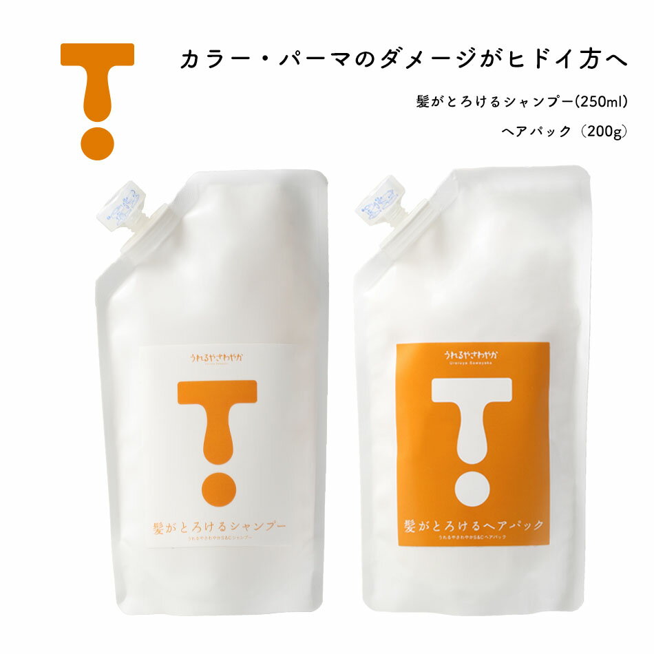 髪がとろけるシャンプー（250ml）＆ヘアパック（200g）ノンシリコンシャンプーセット ダメージケア用ヘアパック送料無料！