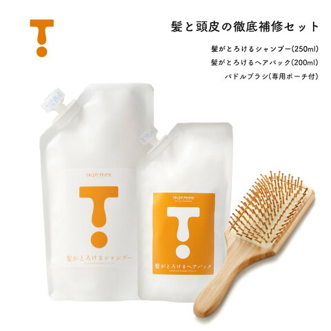 究極の！「髪のやり直し」セット／シャンプー250ml・ヘアパック200ml・パドルブラシ