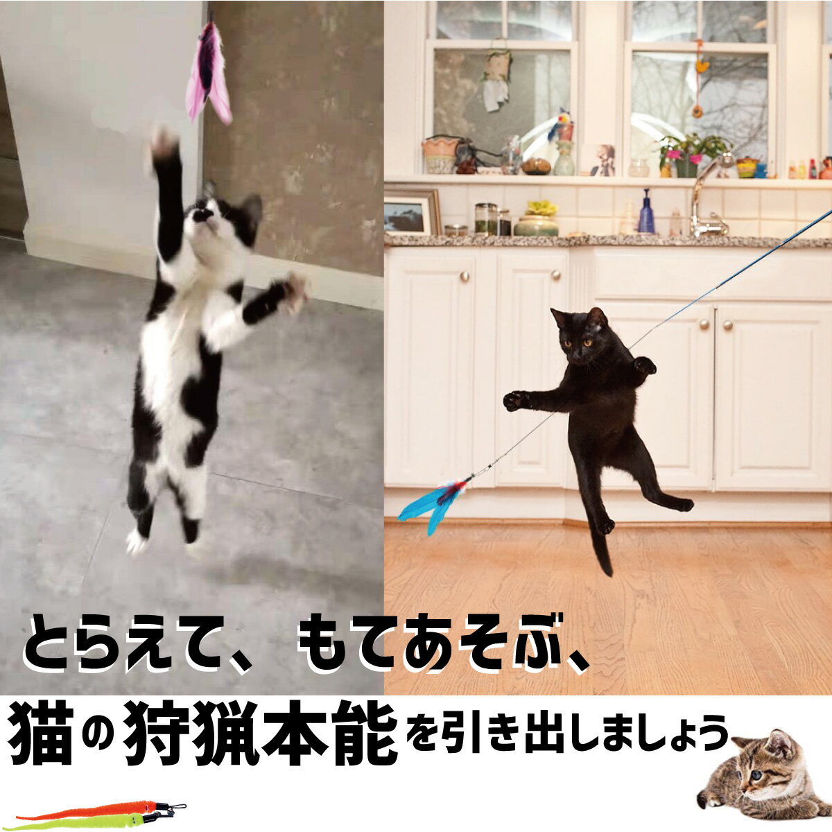 猫じゃらし 11点セット 猫おもちゃ ねこじゃらし 猫 ねこ ネコ おもちゃ 釣り竿 猫用おもちゃ ペットグッズ 羽根 鈴 伸びる しなやか 運動不足解消 ペット用品