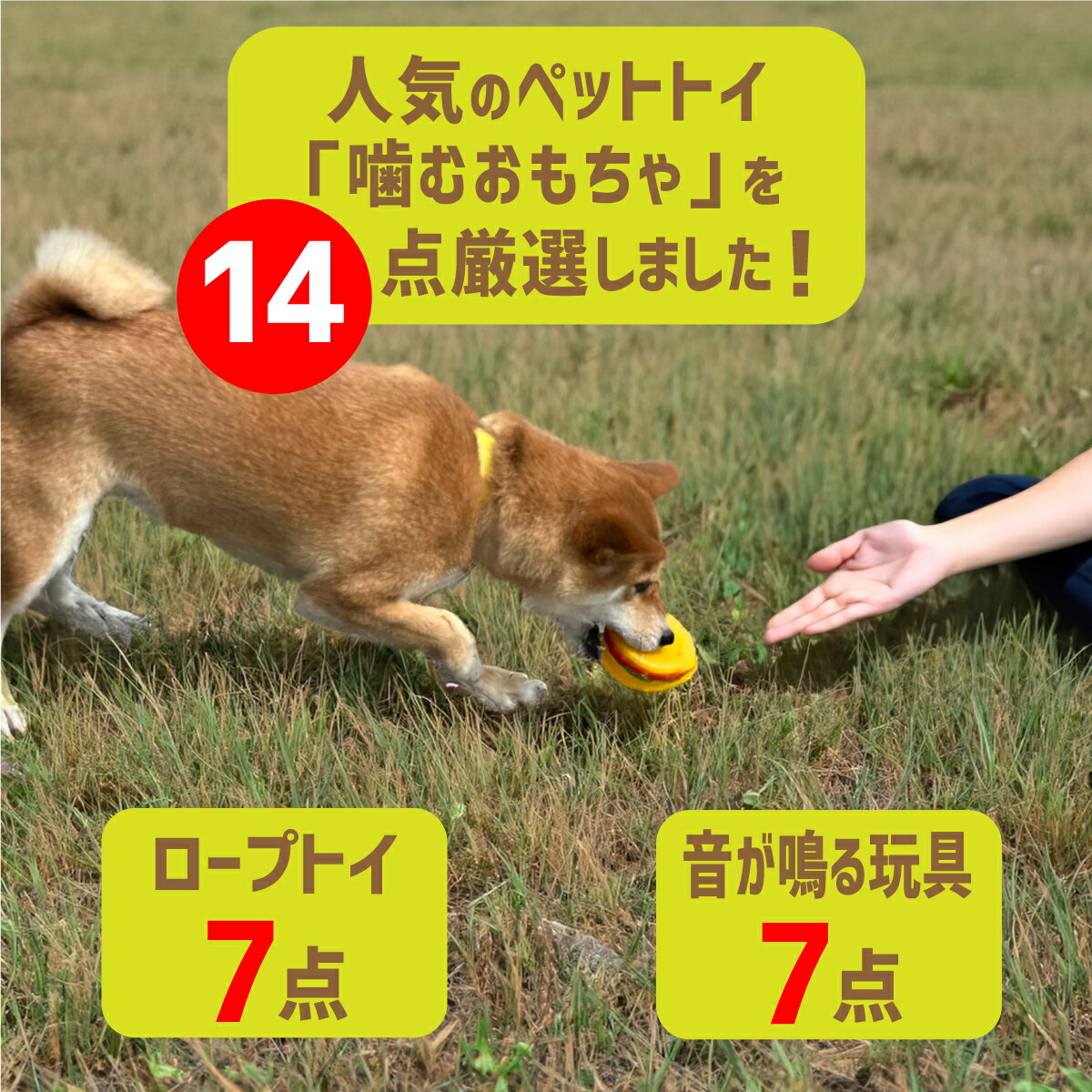 サンプル画像2