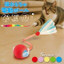 【P2倍】 猫 おもちゃ 電動 ボール LEDライト付き 尻尾付き しっぽ ひも 羽根 ワーム 鳥 鳴き声 さえずり USB Type-C充電式 自動回転 一人遊び 運動不足解消 ねこ ネコ ストレス解消